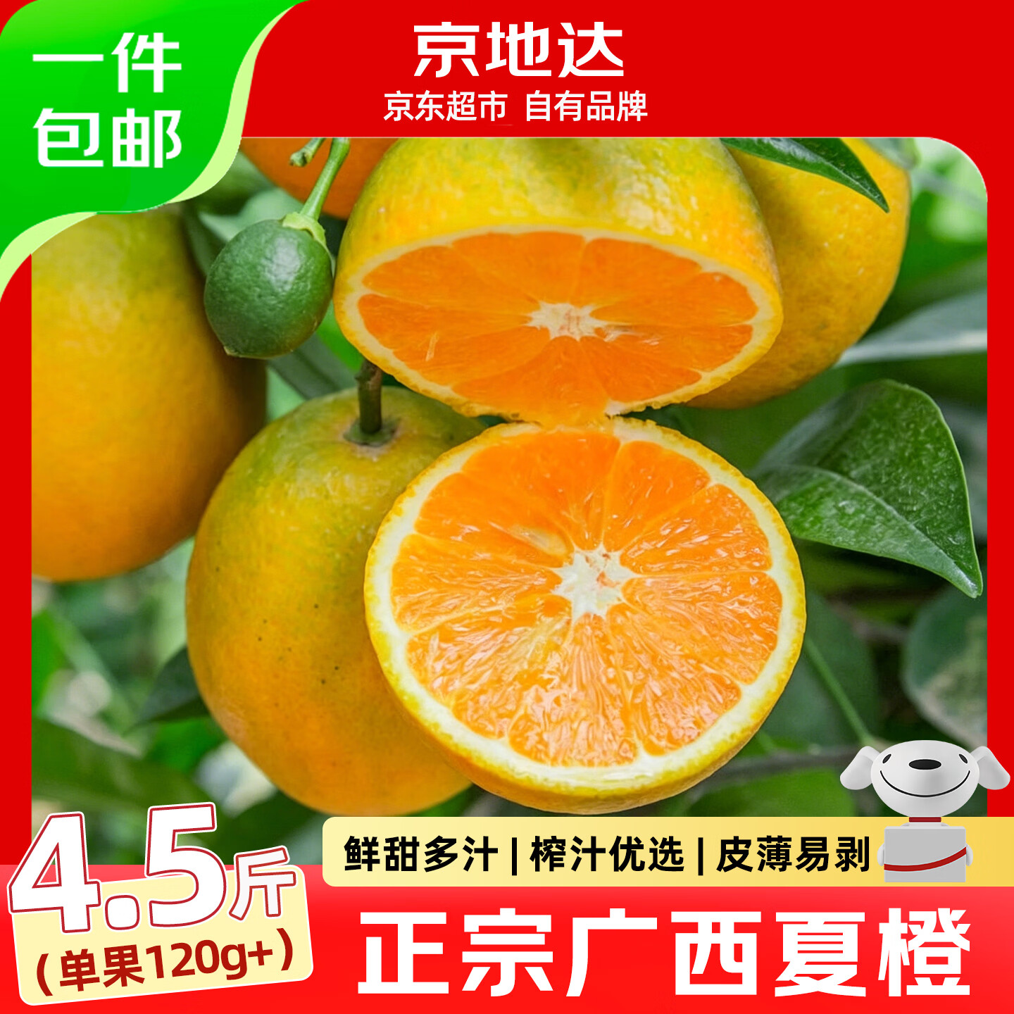 京地达广西夏橙甜橙子净重4.5斤单果120g+京东自营源头直发包邮