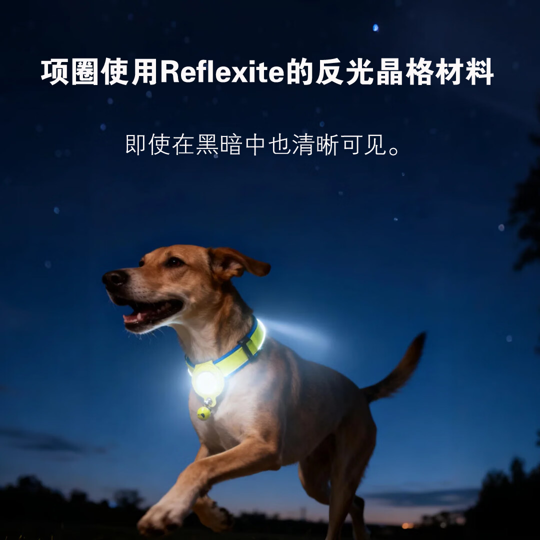 宠物定位器项圈 猫咪狗狗定位防丢失追踪神器 反光防水 1年续航 绿色 M码 28-44cm 苹果/安卓/鸿蒙通用版