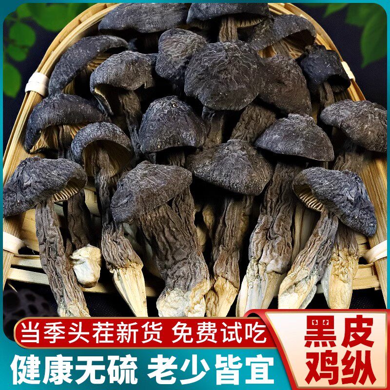内廷上用野生黑皮鸡肉丝菇干货正宗天然鸡纵菌云南特产菌菇鸡棕菌营养煲汤 500g 1包*1袋 鸡肉丝菇