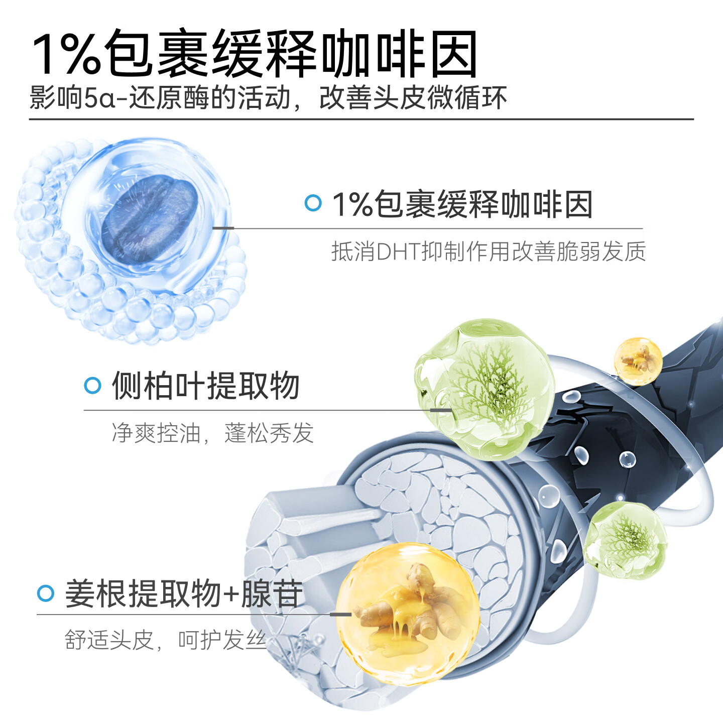 哈恩咖啡因洗发水露男士专用洗头膏控油去屑蓬松头皮清洁洗护套装礼物 【划算2瓶装】男士咖啡因洗发水*2