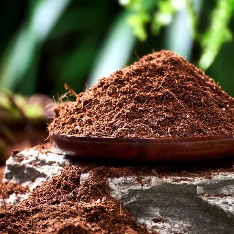 漫生活柠檬树专用土香水柠檬专用营养土绿植盆栽有机种植土泥炭土专用肥 柠檬树专用营养土50L