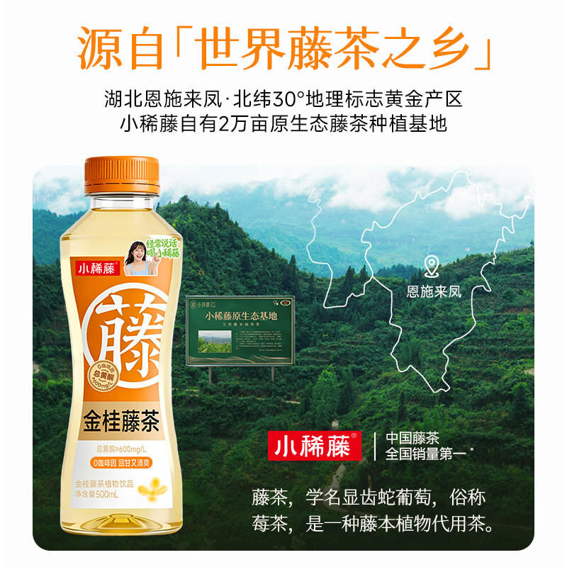 小稀藤即饮藤茶植物饮料解渴0咖啡因0蔗糖0脂肪500ml 金桂藤茶 500mL*15瓶
