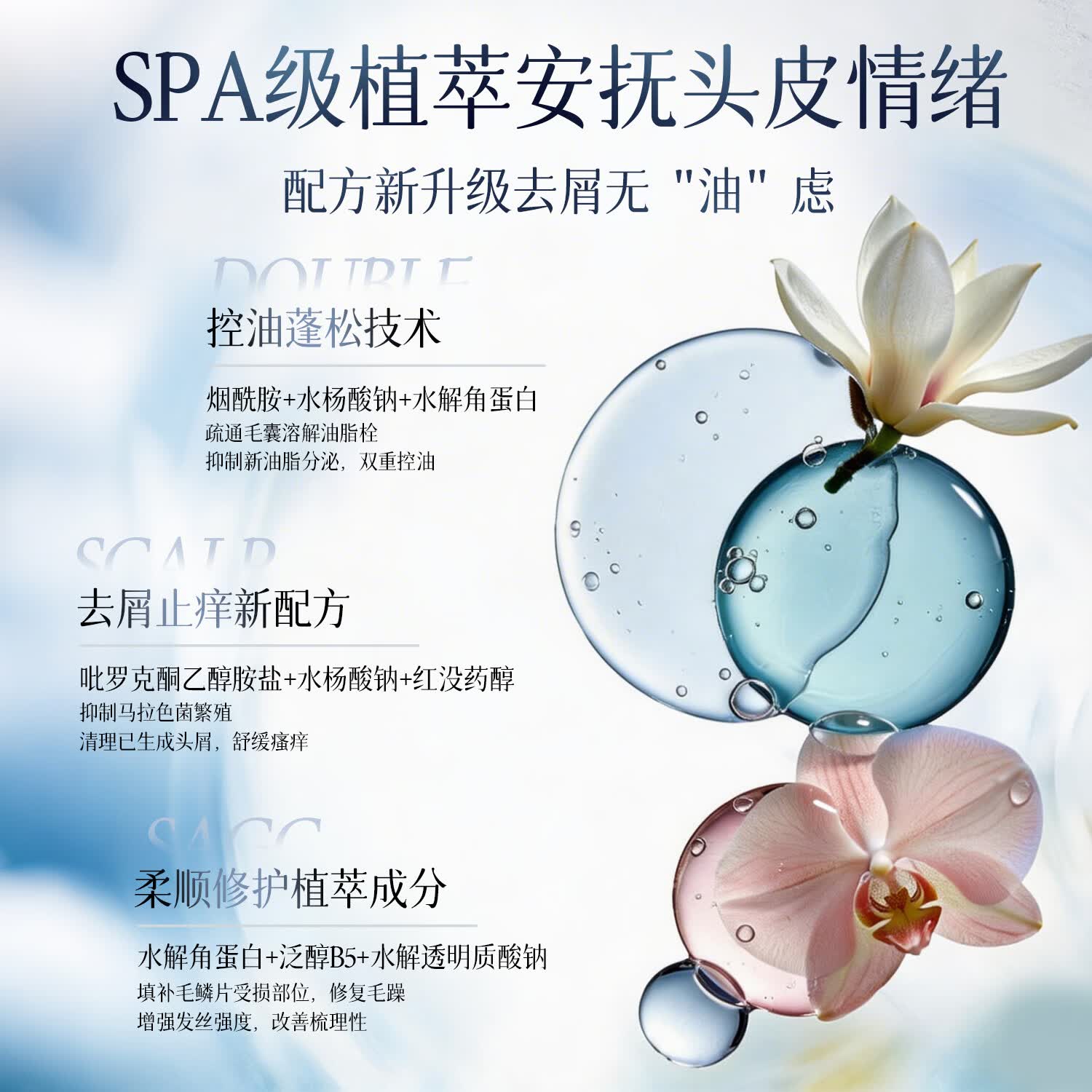 范泳辰（fanyongchen）洗发水去屑止痒控油持久蓬松留香氨基酸洗头膏男女士专用洗发露 【控油蓬松】雪松清茶洗发水800ml 控油蓬松洗发水热卖榜第1名
