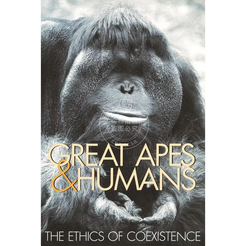 预售 Great Apes and Humans 企鹅兰登