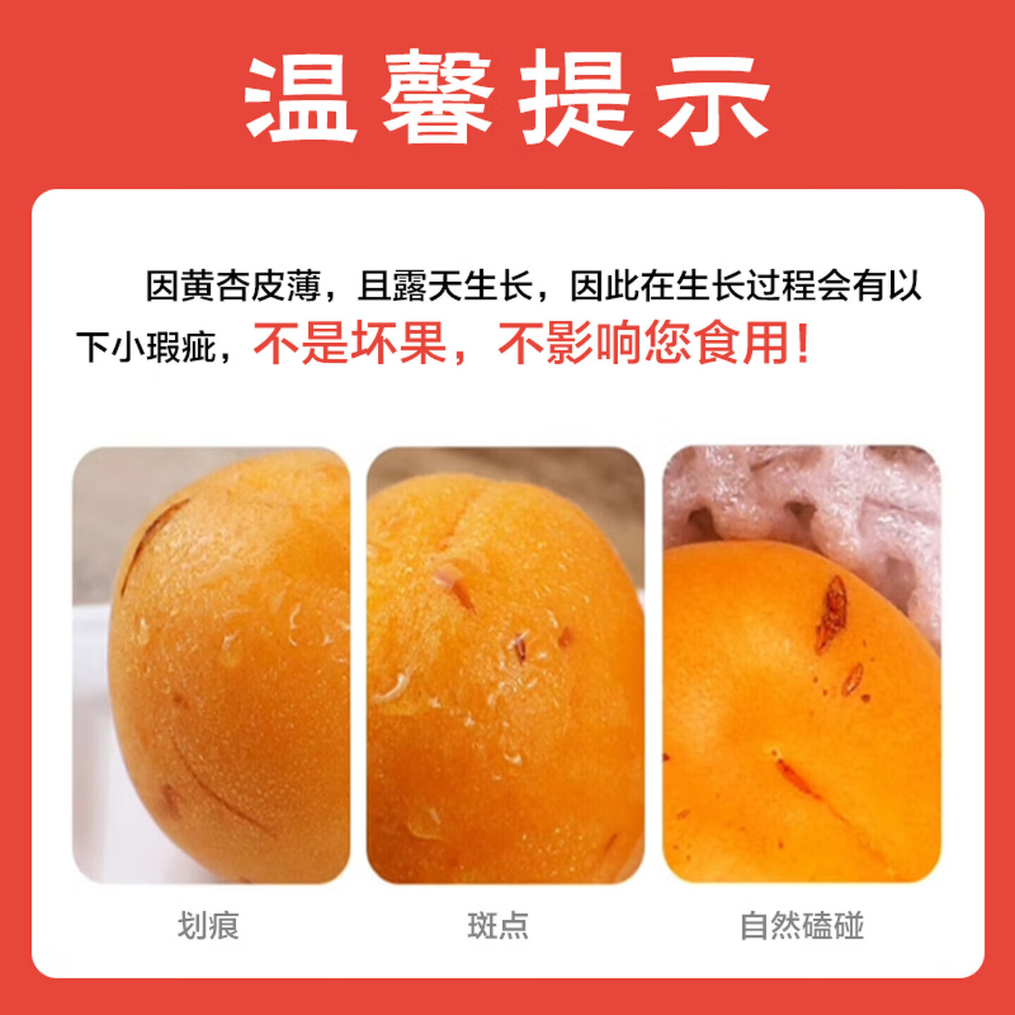 正鲜季(ZHENGXIANJI)陕西大黄杏当季新鲜采摘时令水果生鲜微黄头茬杏子整箱酸甜水果 【量贩装】5斤