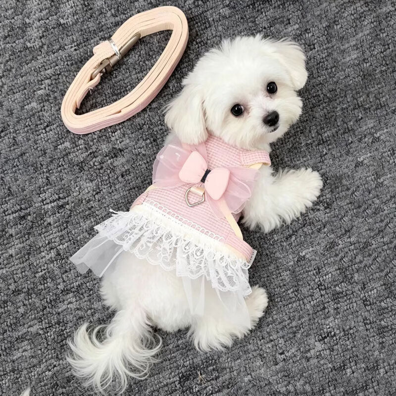 拉维佩特(LOVINGPET)猫咪牵引绳 狗绳牵引绳小型犬狗狗胸背薄款猫衣服公主裙遛猫绳 粉色M(12斤以内)