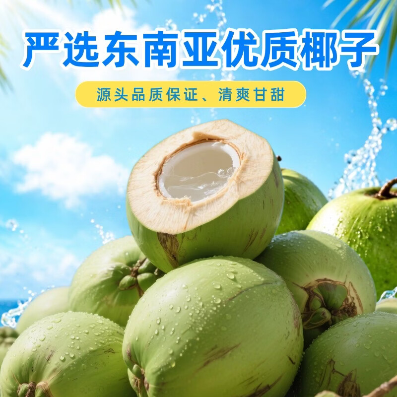 Colossus100%椰子水严选进口优质椰子儿童孕妇可饮0添加含天然电解质 245ml×10瓶