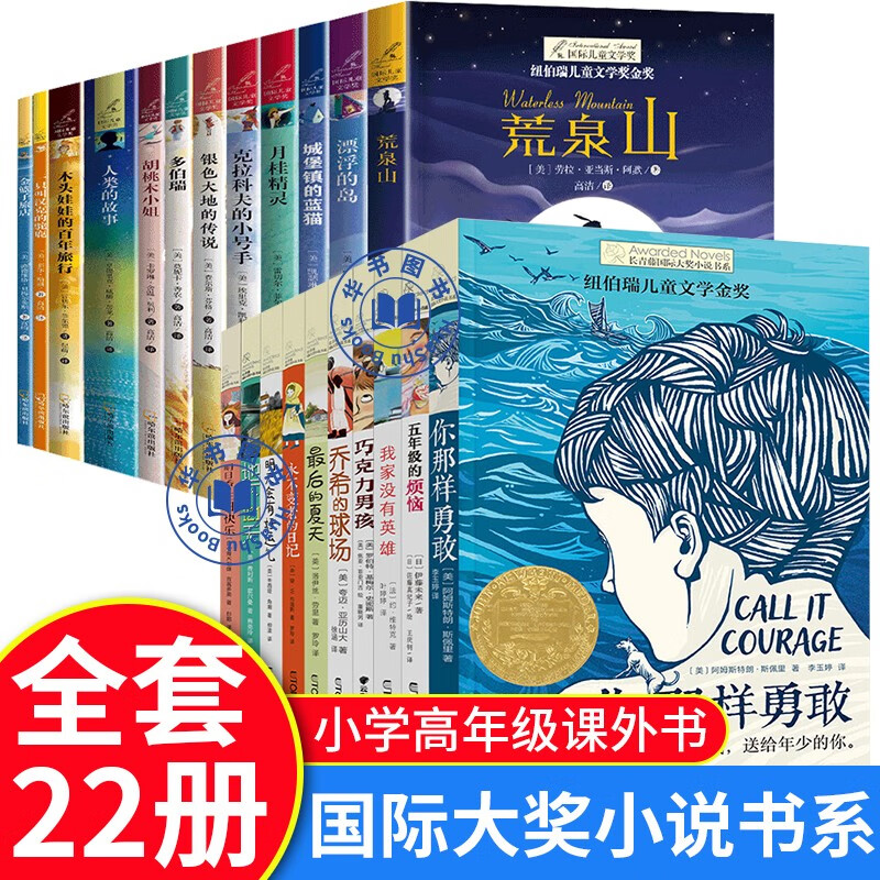 全22册长青藤国际大奖小说书系纽+伯瑞国际儿童文学金奖国际大奖小说系列三四五六年级课外书经典读物 中小学生儿童文学初一中学生青少年课外阅读书籍儿童读物 国际大奖小说书系 全22册