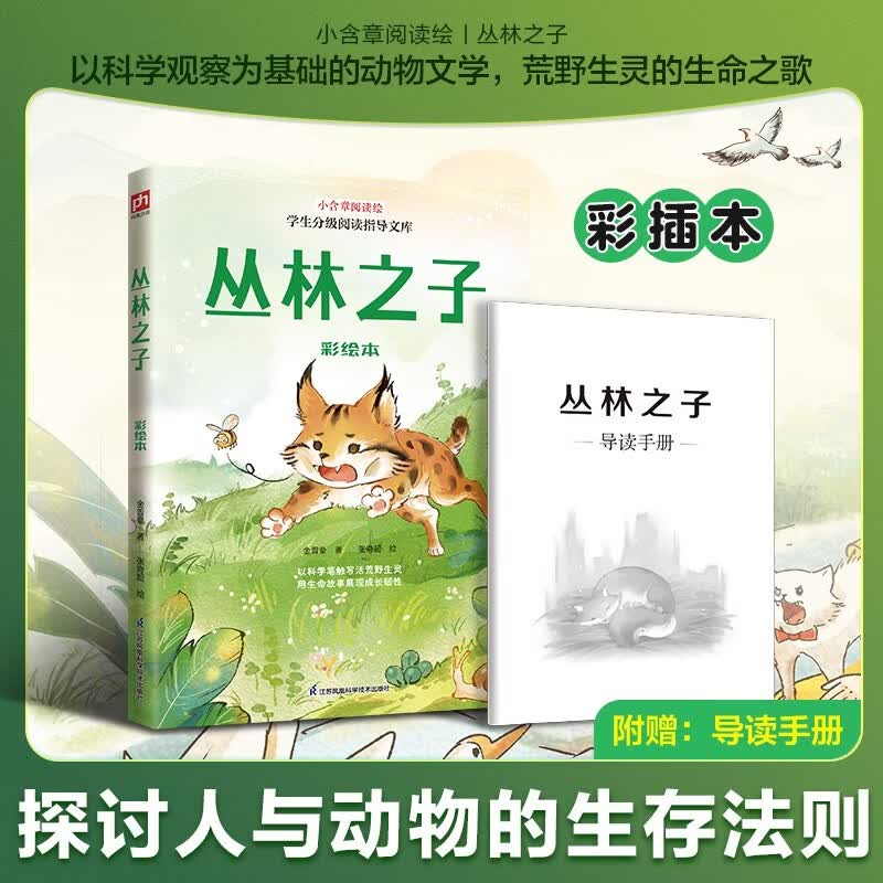 丛林之子 彩绘本