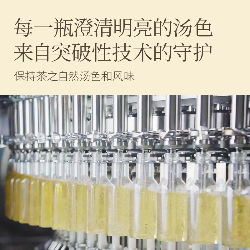 农夫山泉东方树叶菊花普洱500ml*15瓶无糖茶饮料0糖0脂0卡饮品整箱装