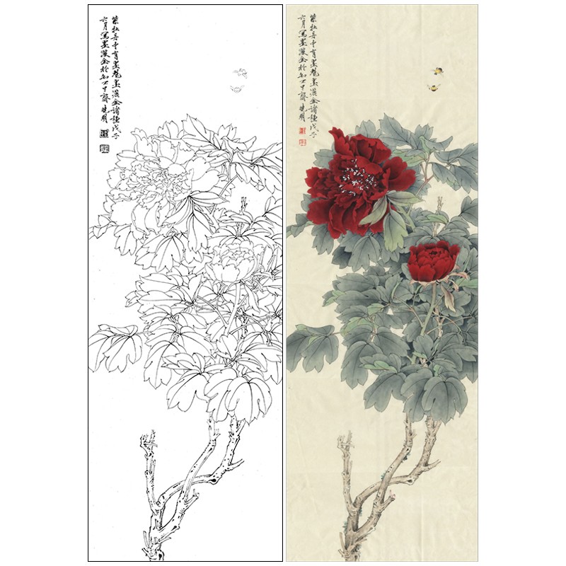 桔舍 李晓明工笔画白描底稿牡丹蜜蜂原作大小30*86厘米花鸟线稿带a3