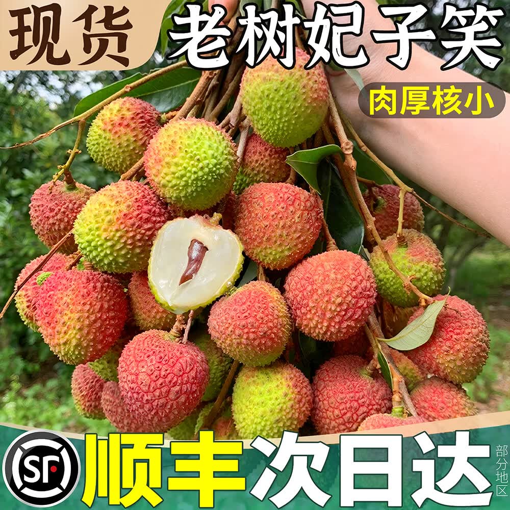 潭寨[带枝叶-更保鲜]高州妃子笑荔枝妃子枝老树大果顺丰包邮当天现摘 24g+/每个-高州荔枝-顺丰送上门 【树粗5cm的果】净4.5斤-妃子笑-带枝叶