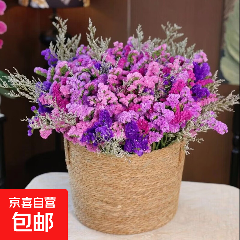 【专】勿忘我鲜花当日新鲜现采云南斗南花卉基地直发高品质勿忘我 勿忘我1束（2-5个颜色）约300g新手福利