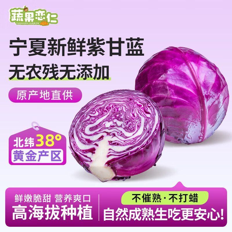 蔬果恋仁紫甘蓝4.5斤 11.9元 - 线报酷