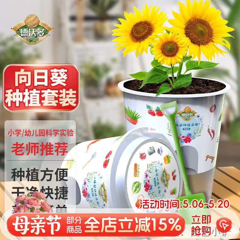 德沃多向日葵种子DIY儿童趣味种植盆栽套装小学植物观察幼儿园六一