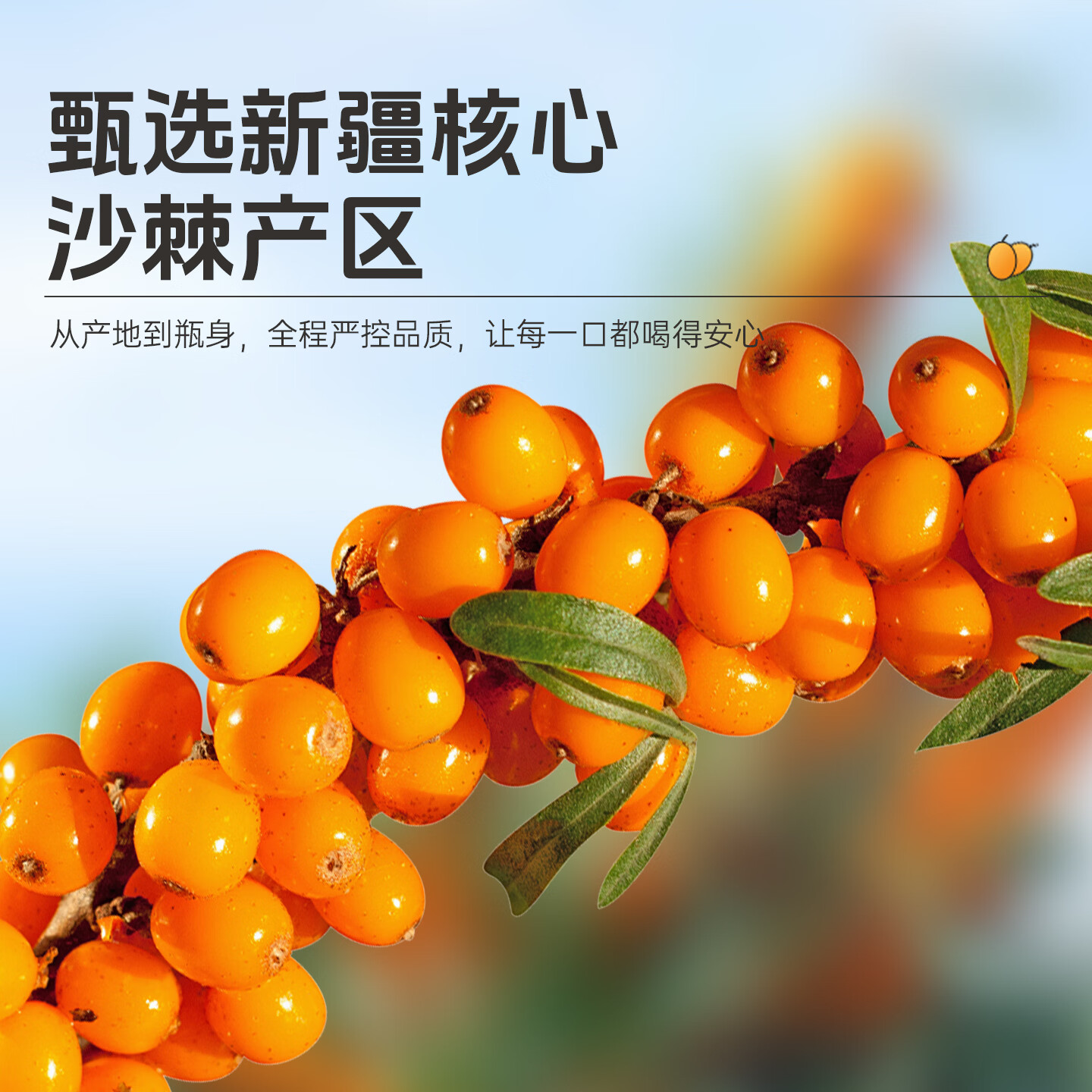元汇萃【原浆礼盒】沙棘枸杞原浆马年礼盒枸杞VC维C组合送长辈领导礼盒 2000mg*1提