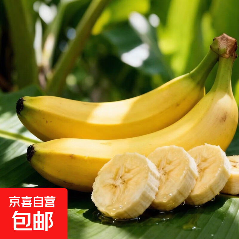 京喜加广西正宗高山现摘当季新鲜青皮香蕉自然熟单根蕉 带箱8斤净重7.5斤