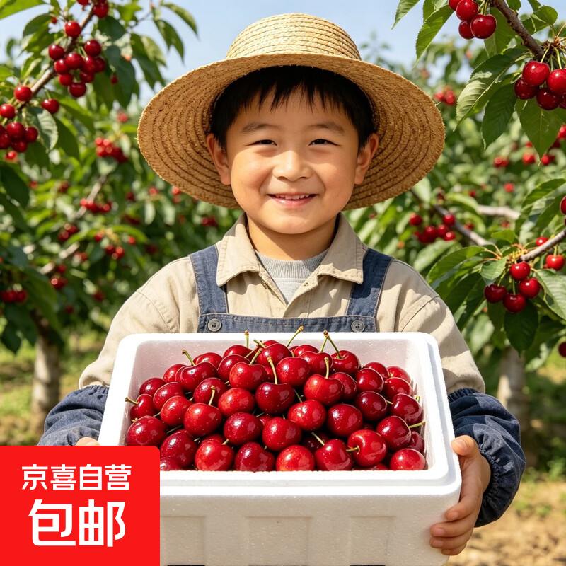 【头茬】山东烟台大樱桃新鲜水果22-26mm现摘现发整箱5斤孕妇到家 4.5斤(净重) 整箱5斤 22-26mm-现摘现发