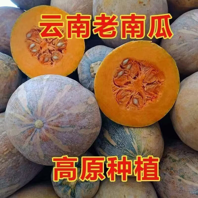 盛觅云南板栗老南瓜新鲜南瓜源头直发儿童辅食美味粗粮新鲜蔬菜 净重4-5.5斤源产地直发
