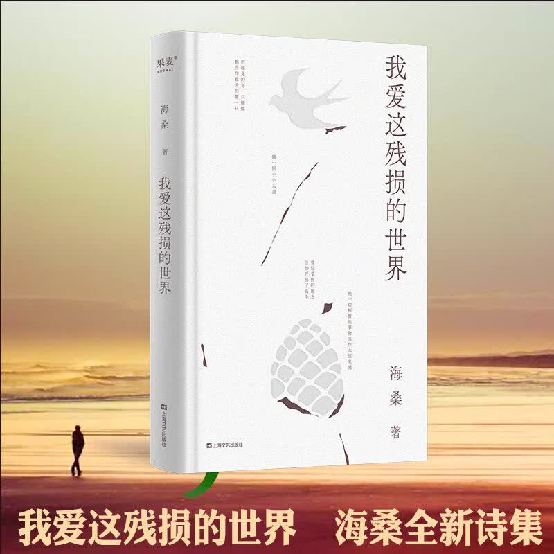 正版我爱这残损的世界 海桑 著 当代诗歌 文学SN357s [官方正版]我爱这残损的世界海桑
