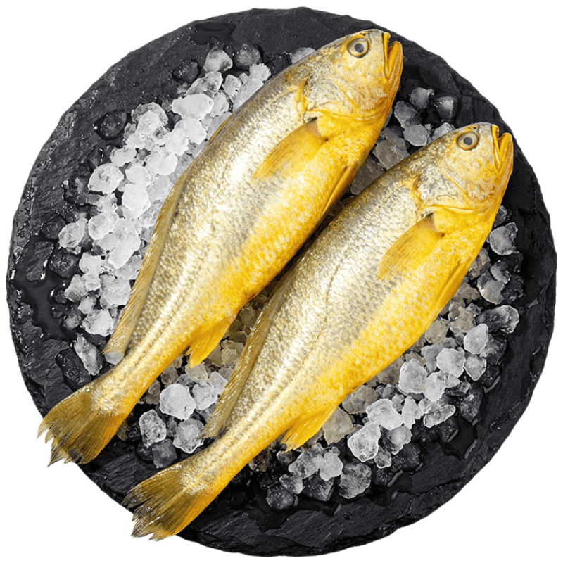 味尔佳宁德黄花鱼500g*2袋（4条）原条黄鱼 生鲜鱼类  海鲜  源头直发