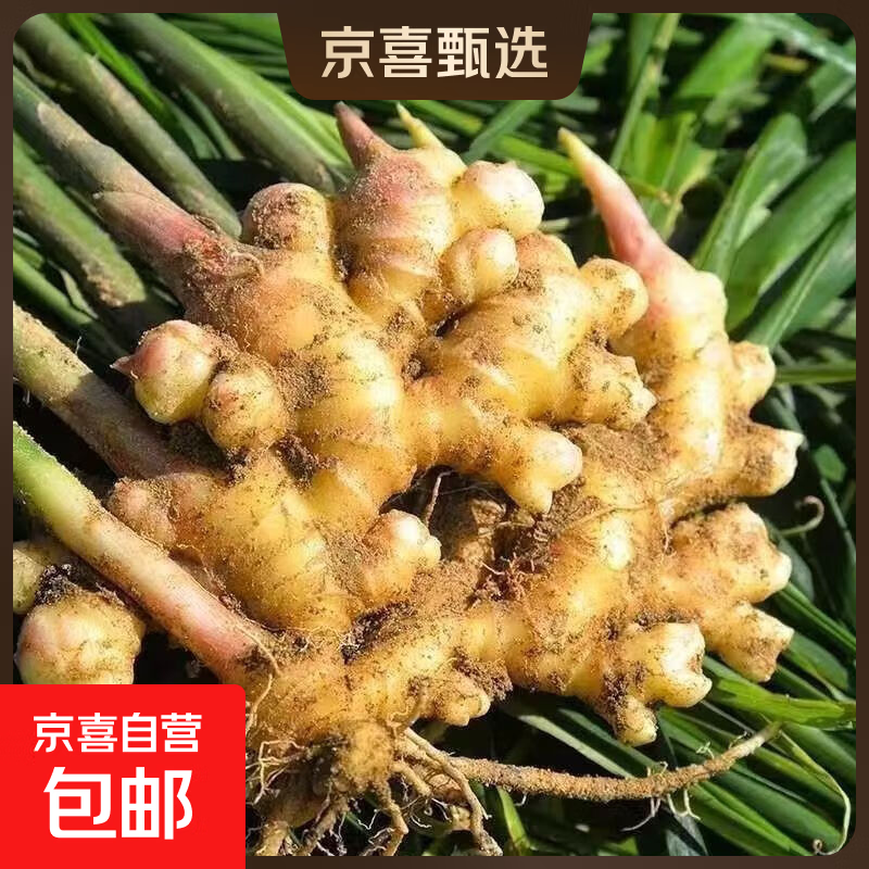 小黄姜带箱1斤 3.98元，精品大蒜4.5公分5头 3.99元，圣女果带箱3斤 7.04元 - 86线报