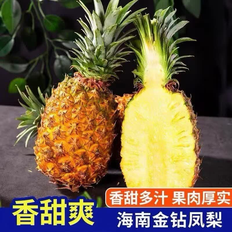 果迎鲜凤梨 新鲜水果 海南金钻凤梨 热带水果 4.5斤装净重