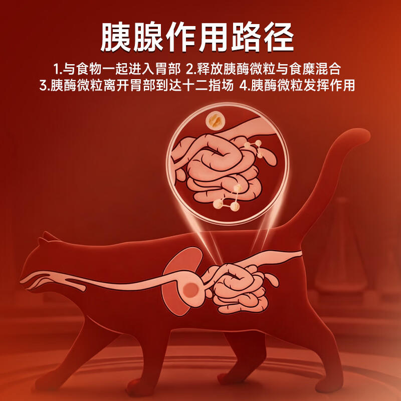 兽护神宠物胰宝片猫咪狗狗胰腺调理补胰酶促消化增免疫猫狗通用1瓶200片 【胰酶补充】胰宝片 200片*1瓶