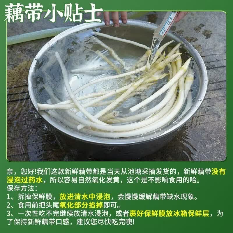 洪湖农家洪湖藕带 生鲜蔬菜 藕管 火锅食材 湖北特产 买菜 新鲜水生蔬菜 新鲜藕带3斤(藕管)