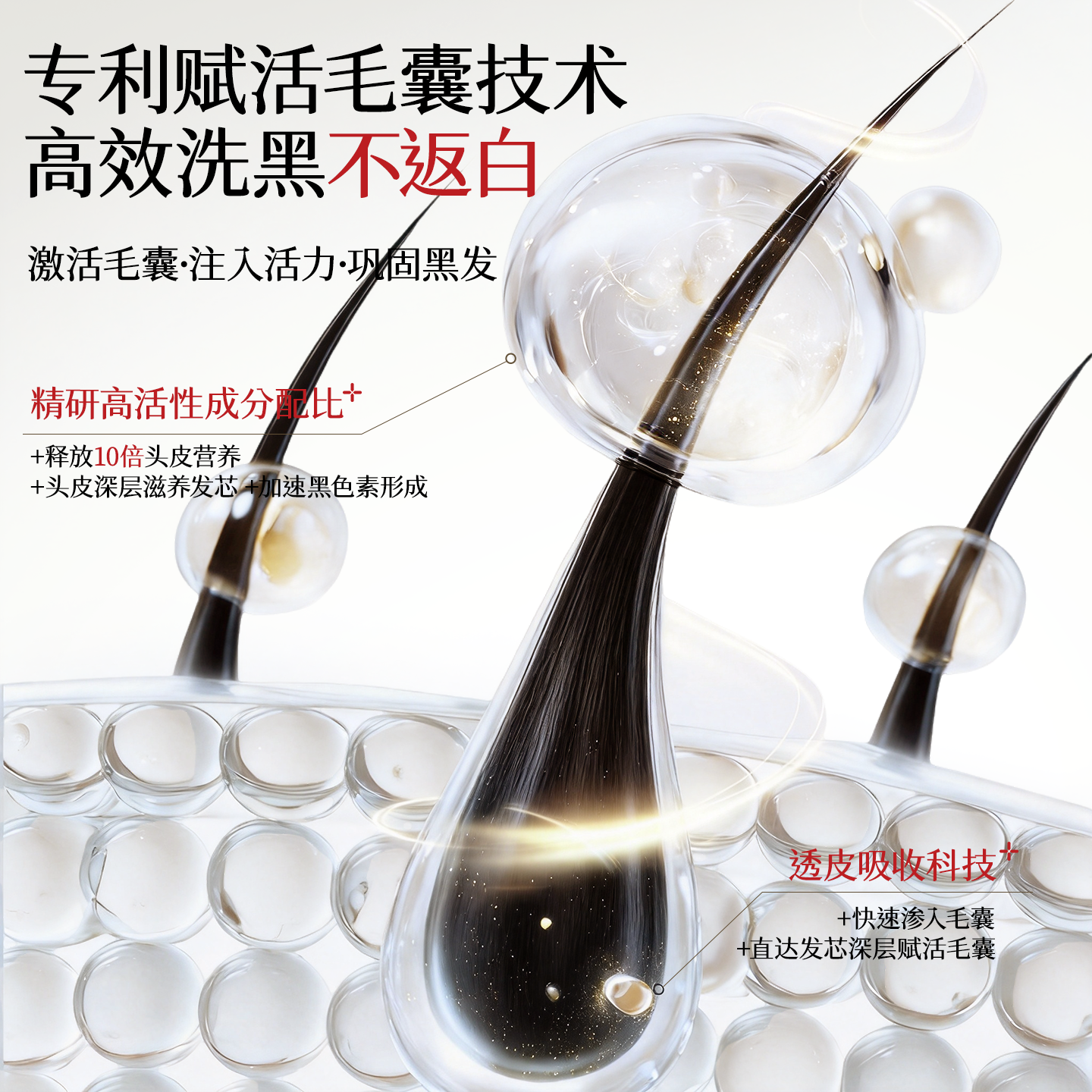OSXE【进口原料】黑灵芝何首乌洗发水根源白头发转黑发强韧发根养黑 【白发专用】轻度1瓶见效装500ml*1