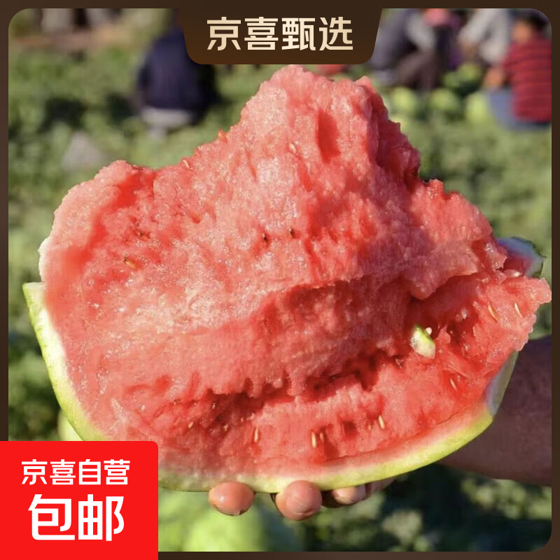 好忦西瓜安徽美都麒麟瓜5-6斤1个纸箱泡沫箱发货 13.9元 - 86线报