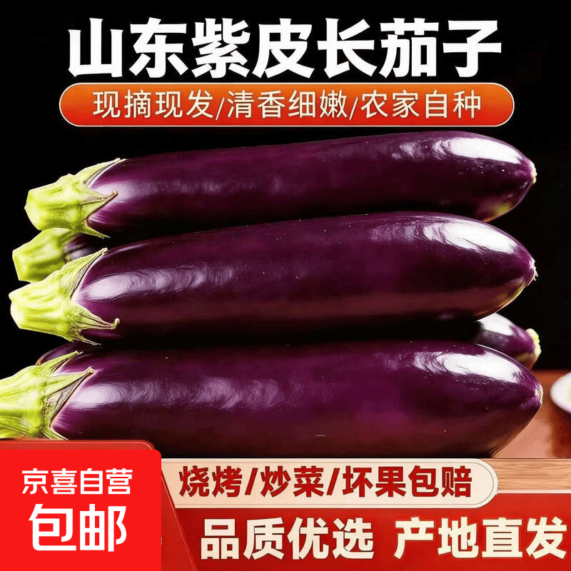 东北特产农家自种紫茄子长茄子现摘现发新鲜蔬菜紫把茄子紫裤茄子 带箱 1斤