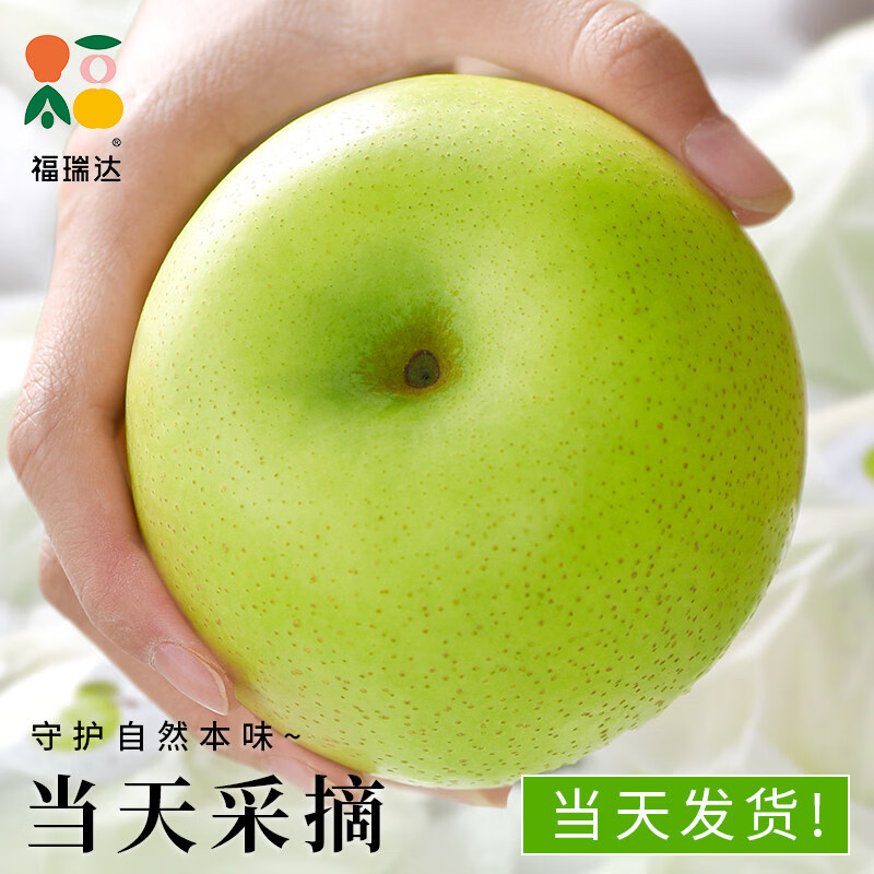 正鲜季（ZHENGXIANJI）梨子正宗砀山梨青梨酥梨新鲜现摘当季水果整箱批发雪梨香梨翠冠梨 稀缺果王 | 单果350g+ 【实惠装】5斤