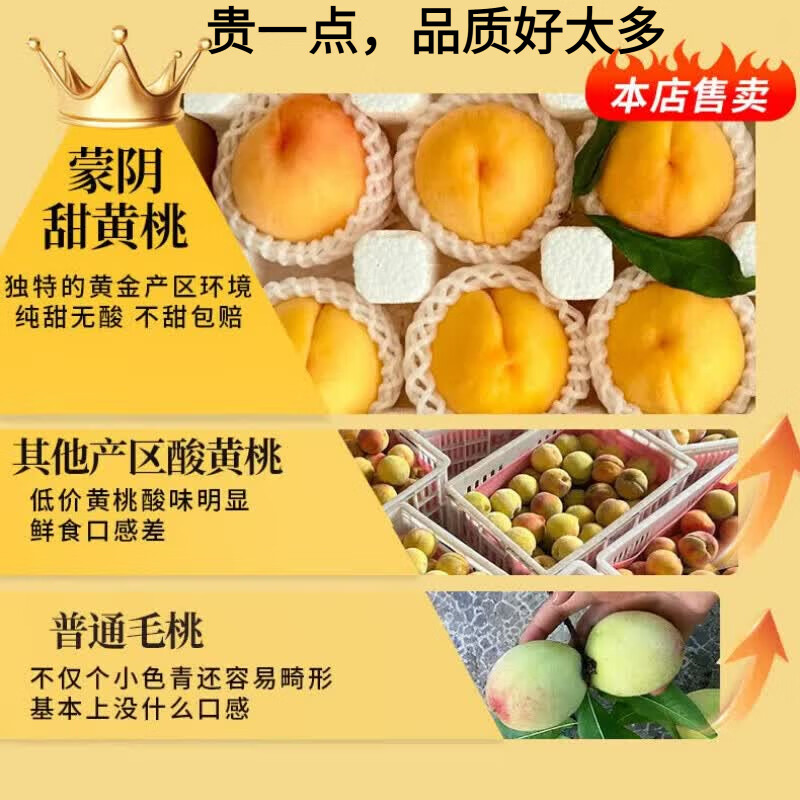蒙阴黄桃正宗山东临沂黄毛红油桃蜜甜新鲜桃子水果礼盒端午节送礼 3.5斤果王礼盒装【单果150g-175g】 50老树新鲜现摘现发【京东顺丰-多地次日达】