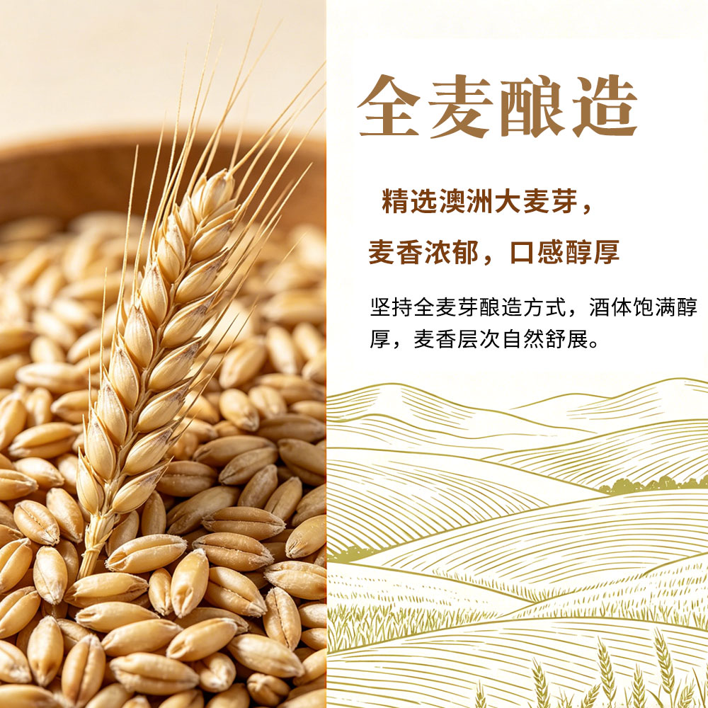 央小啤德式小麦12P 全麦精酿啤酒 进口麦芽进口酒花28天发酵整箱送礼 500mL 12瓶