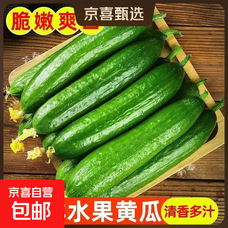 京喜加【东东买菜】寿光小黄瓜现摘荷兰黄瓜新鲜蔬菜生吃低卡路里减脂 黄瓜新鲜带箱 4斤