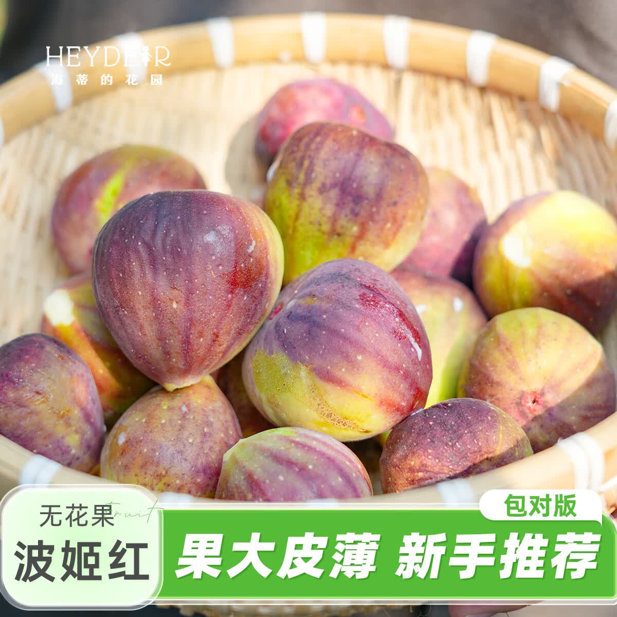 海蒂的花园旗舰店无花果树苗盆栽芭劳奈大果地栽矮化当年结果南北方种植对版 无花果波姬红13cm盆