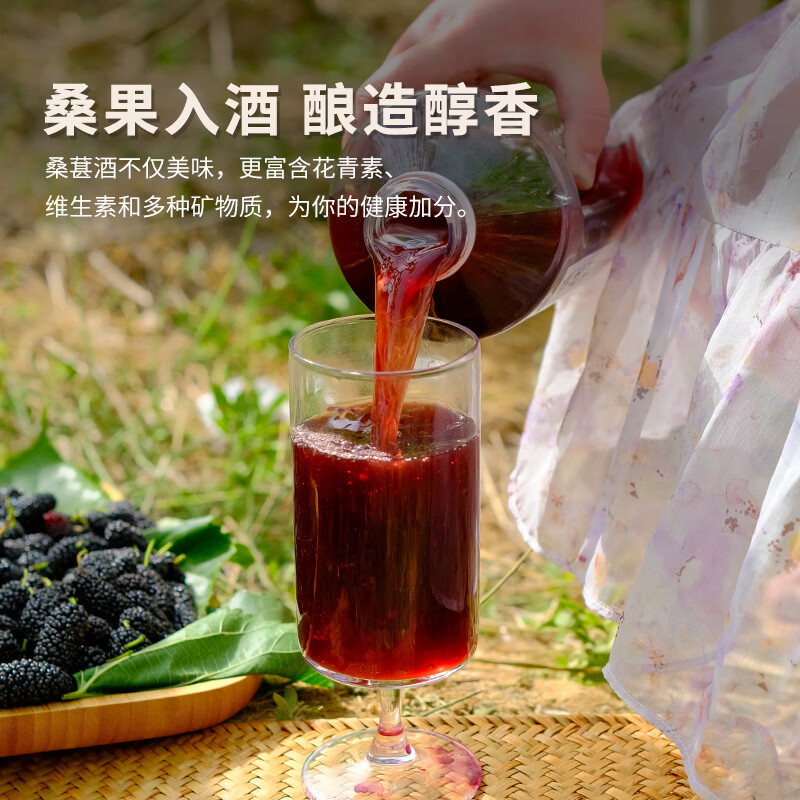 梦香园桑葚黑枸杞糯米酒农家自酿纯粮食浸泡果酒养生酒微醺古法酿制甜酒 【2瓶】6度 桑葚米酒2斤装