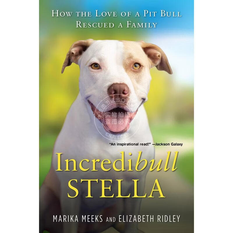 预售 Incredibull Stella 企鹅兰登