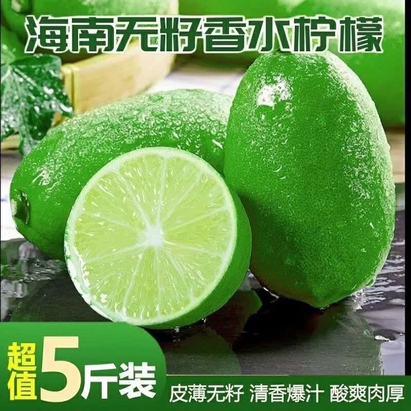 【产地批发价】海南无籽香水青柠檬鲜果整箱当季水果奶茶店专用 海南无籽香水柠檬【独立包装】 超值小果【50-80克】约9-15个果【约1.5-2斤】