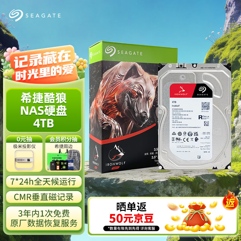 希捷（SEAGATE）NAS硬盘 4TB 256MB 机械硬盘 CMR垂直 静音低耗 数据恢复服务 3.5英寸 希捷酷狼 ST4000VN006
