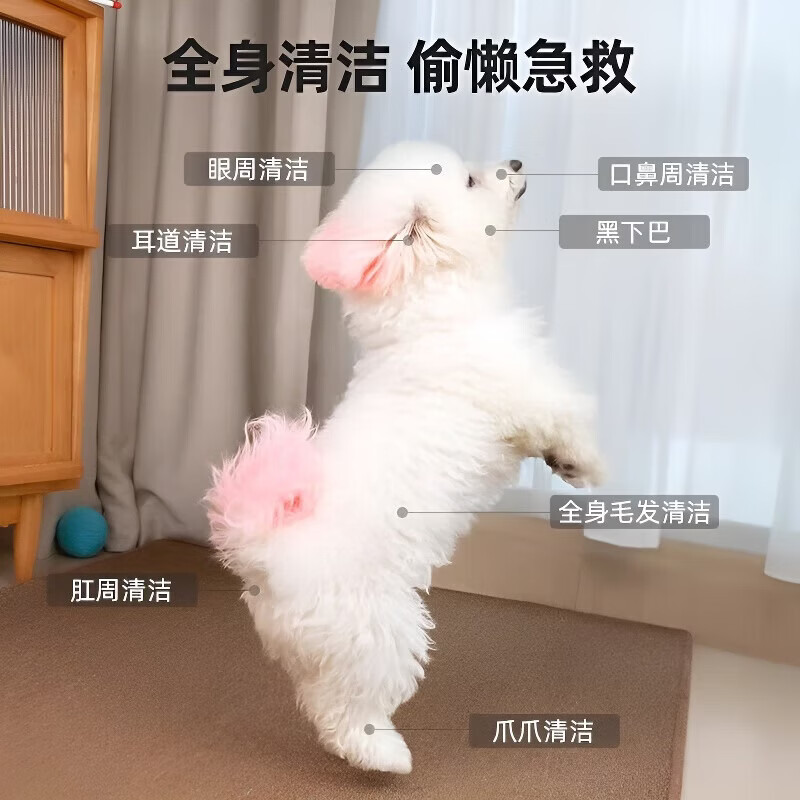 GERTHRON德国宠物免洗慕斯狗狗猫咪清洁毛发皮肤植物洗护泡沫用品狗沐浴露 免洗慕斯300ml(白毛犬) 免洗泡沫 一擦即净