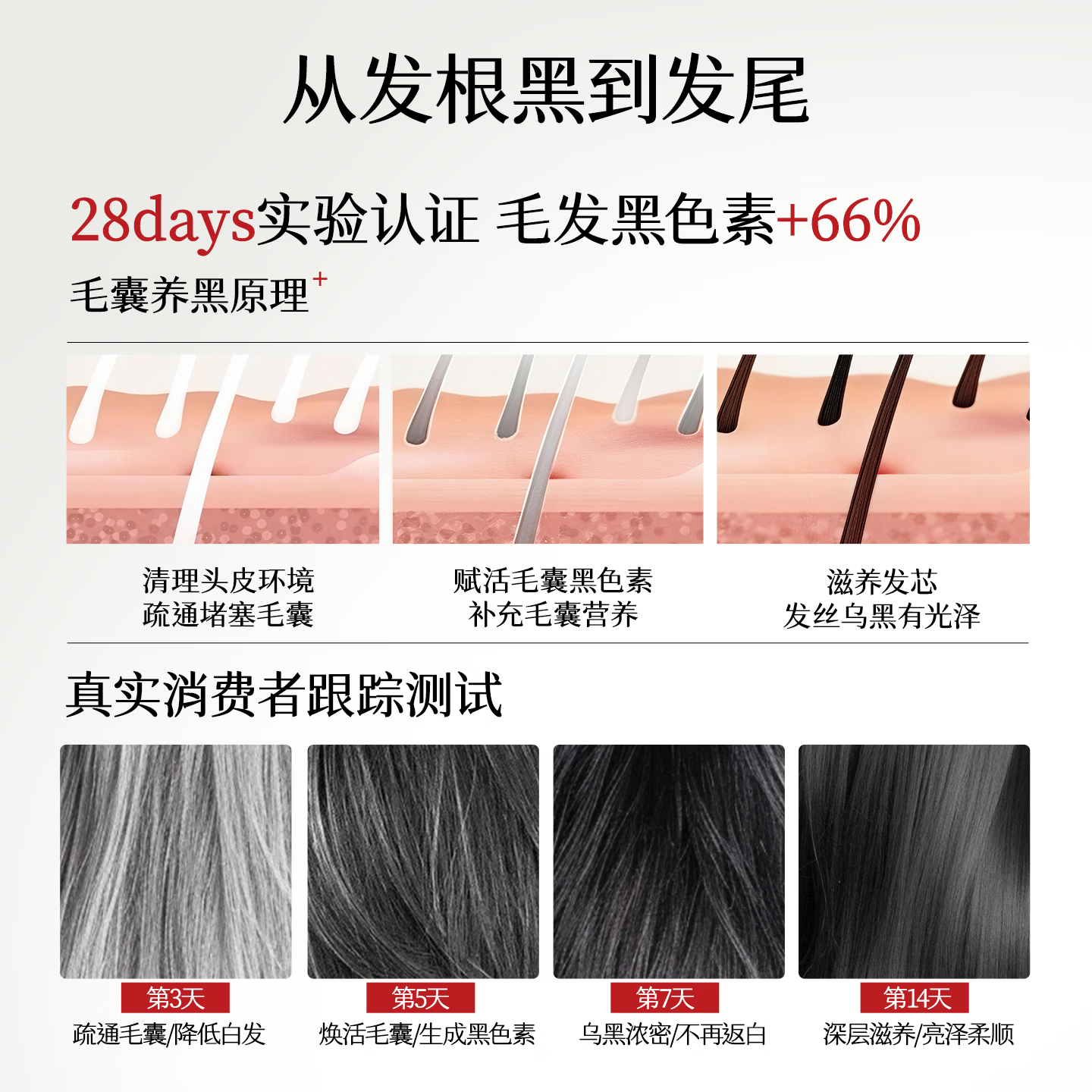 OSXE【进口原料】黑灵芝何首乌洗发水根源白头发转黑发强韧发根养黑 【白发专用】轻度1瓶见效装500ml*1