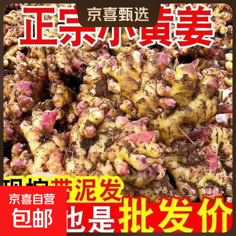 新鲜现挖小黄姜农户自种现挖云南山地小黄姜新鲜嫩姜仔姜批发生姜 2斤带箱净重1.8斤