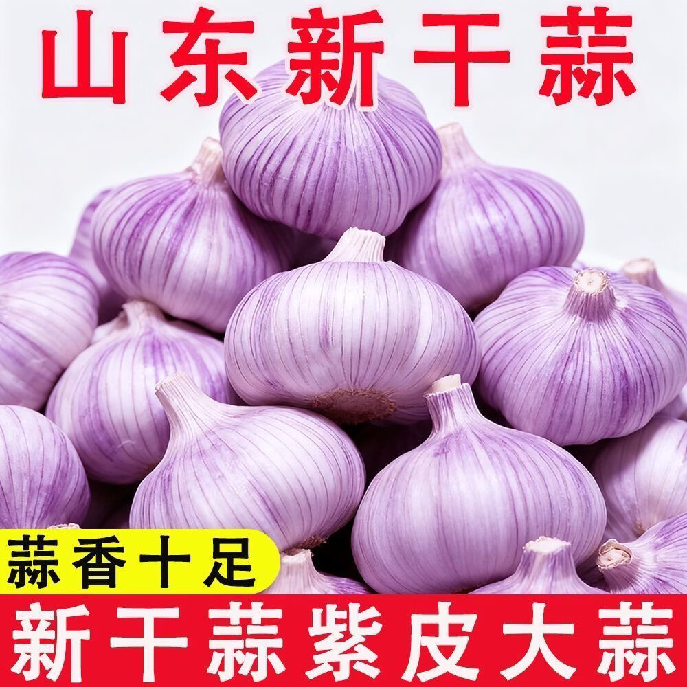 【春和田】金乡紫白皮大蒜批发新鲜大蒜特大蒜头干蒜大蒜正宗 【新干蒜紫皮大蒜】 0.2斤蒜香浓郁