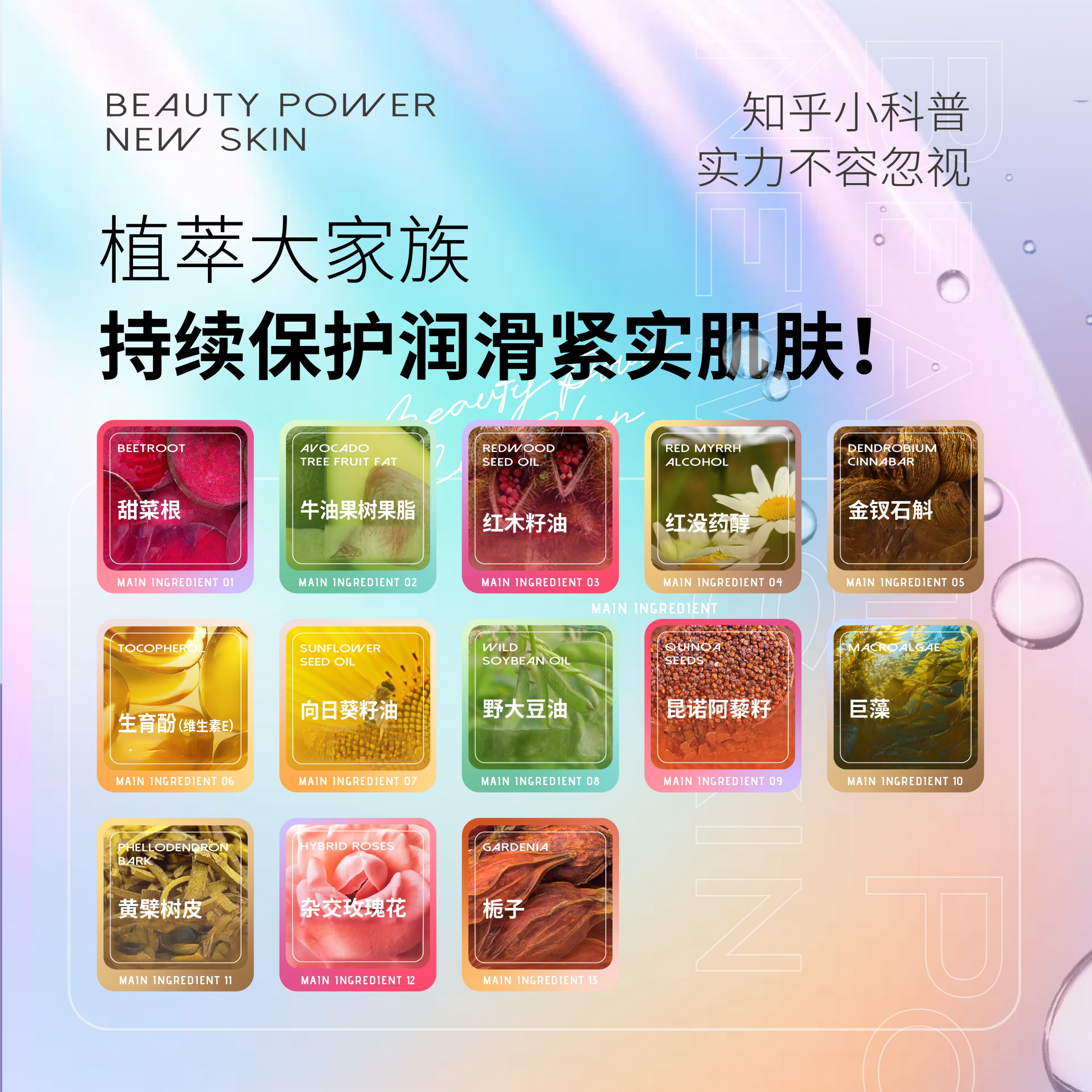 本活早安新肌面霜50g/盒护肤品 多种保湿抗皱成分 水润嫩透,丝滑细致