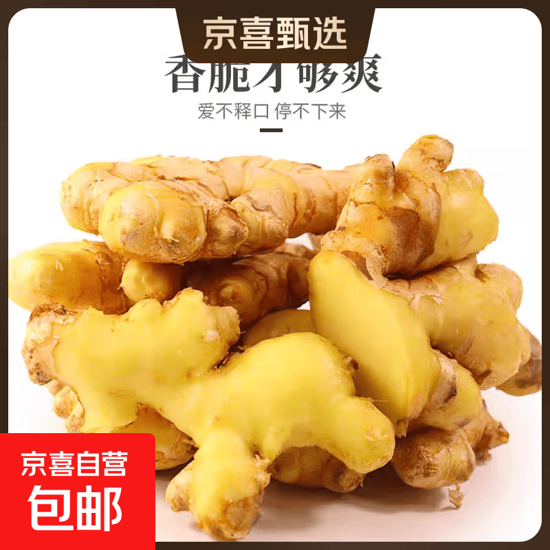 【东东买菜】新鲜贵州生姜子小黄姜水洗净姜月子老黄姜蔬菜调料 净重500g