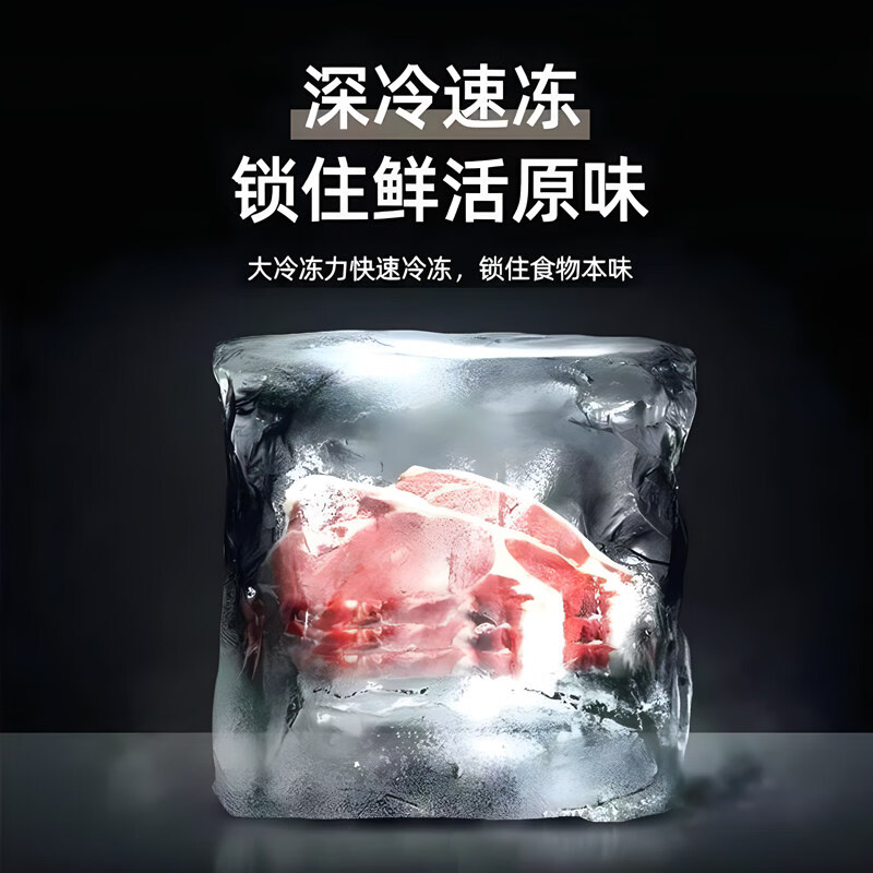 Hoicr冰箱【平台补贴30%】家用一级能效节能省电大容量低音降噪冷冻冷藏保鲜电冰箱除菌净味小型出租房 升级款318低音降噪-258L【店铺补贴】