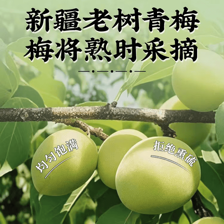 同仁堂(TRT)无糖药用乌梅干酸无糖无添加泡水梅汤泡水正品健康酸味青梅非烟熏 250g*4罐