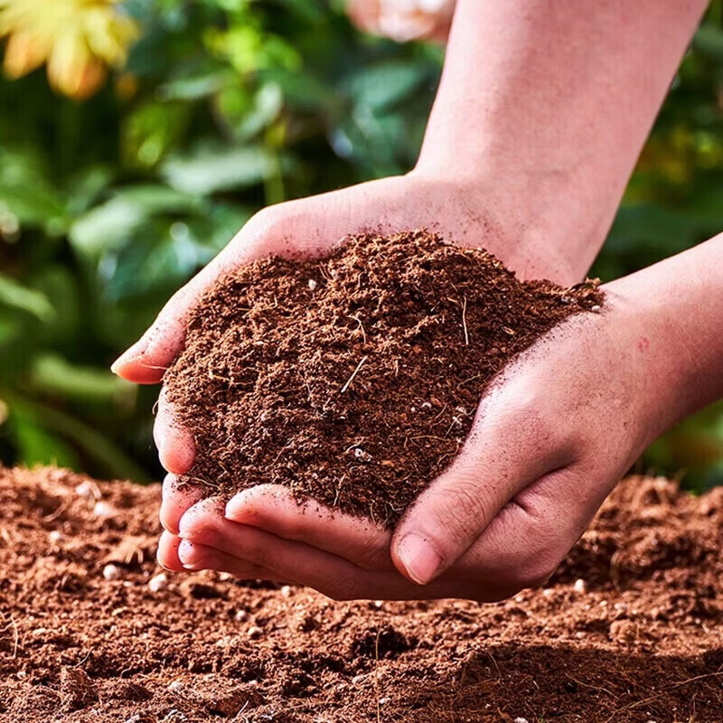 漫生活柠檬树专用土香水柠檬专用营养土绿植盆栽有机种植土泥炭土专用肥 柠檬树专用营养土50L